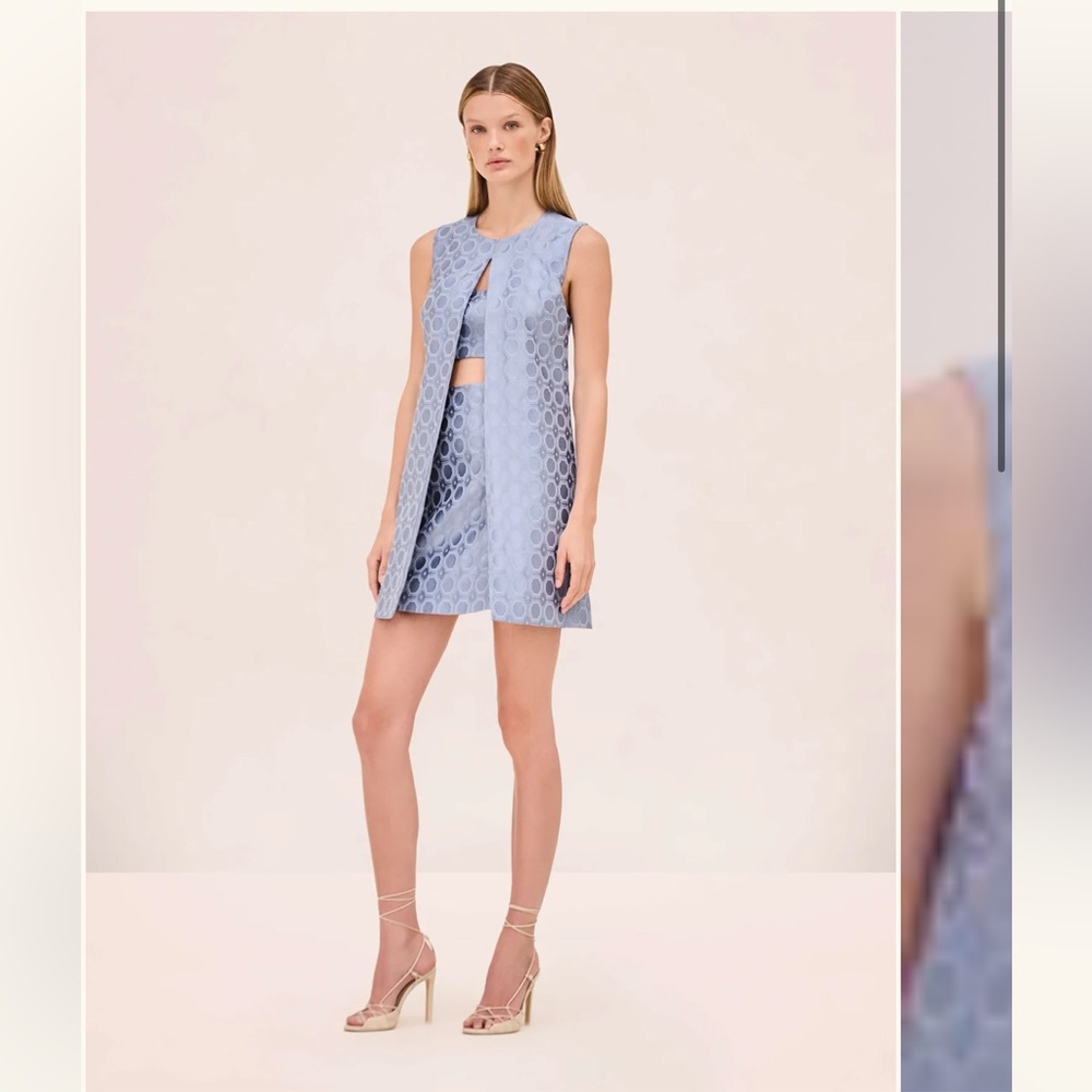 ALEXIS Asha Dress Size XS - Blue Jacquard